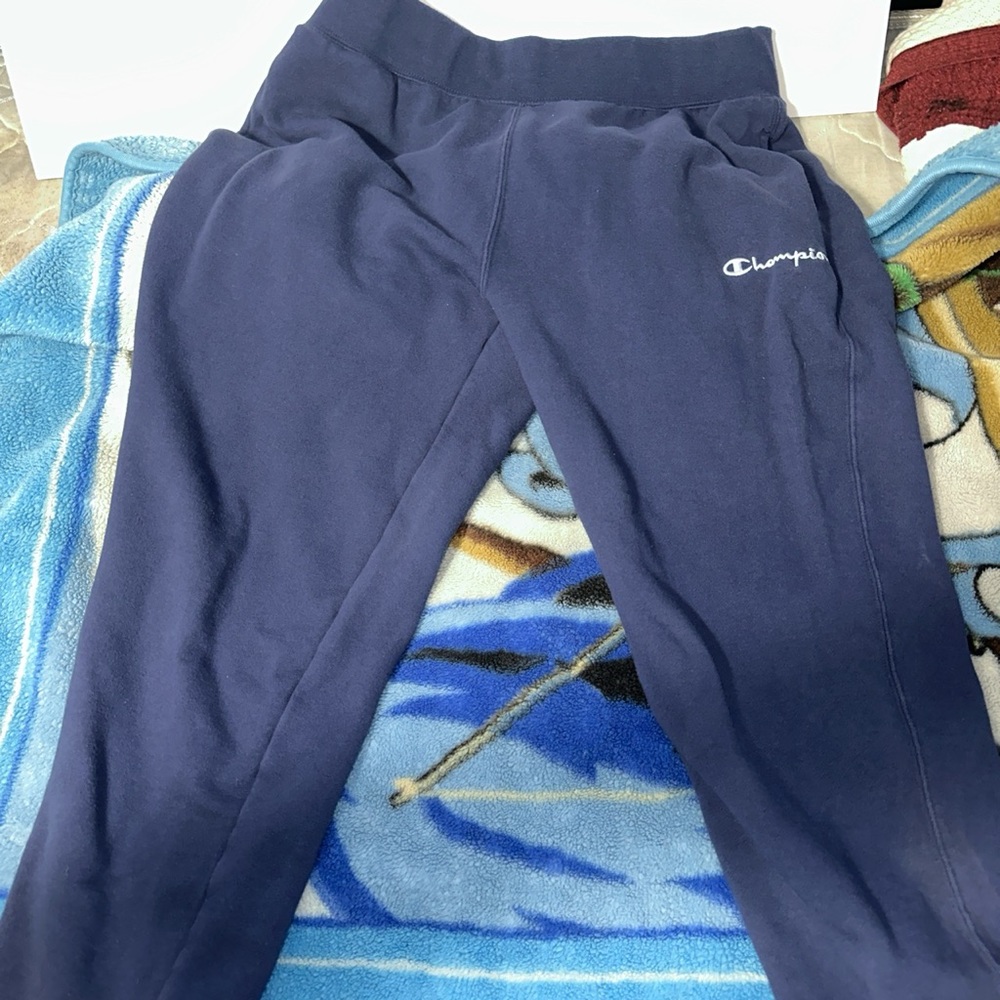 Navy Champion Sweatpants (Large)